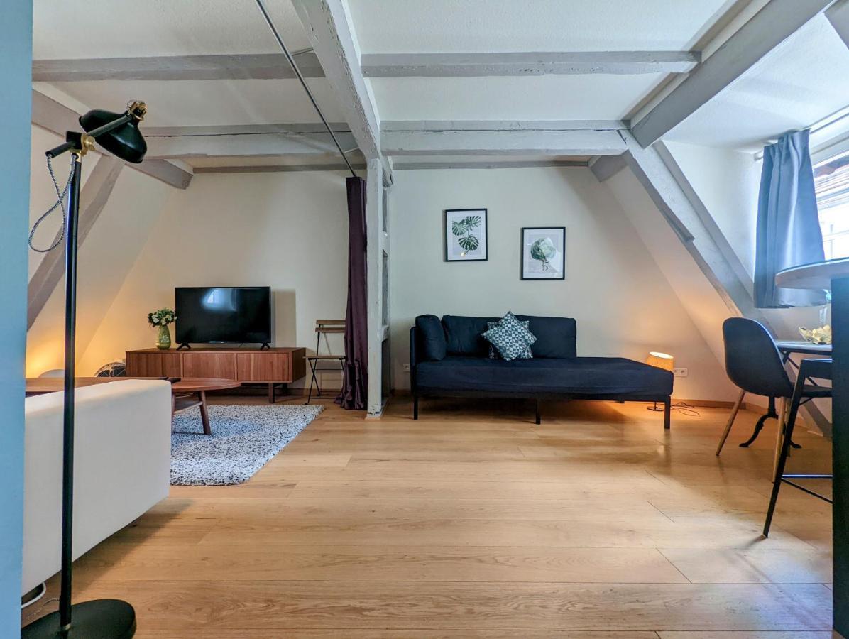 Citycosy Strasbourg - Authentique Batelier Exterior foto