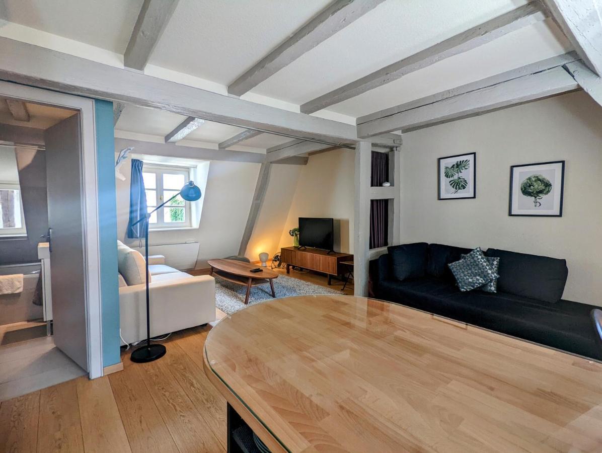 Citycosy Strasbourg - Authentique Batelier Exterior foto